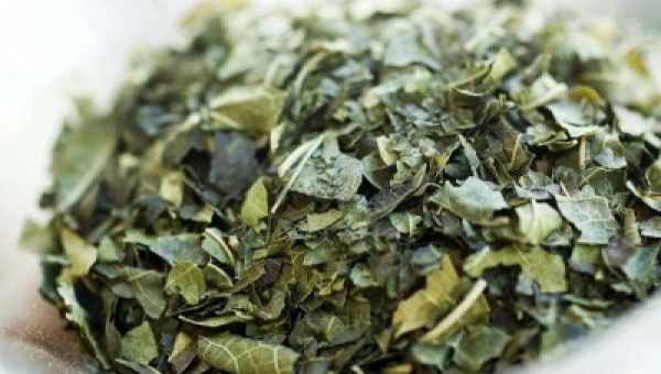 Чаят от черничеви листа укрепва черния дроб и бъбреците