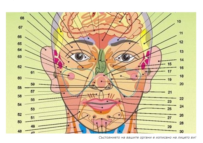 Състоянието на вашите органи е изписано на лицето ви!
