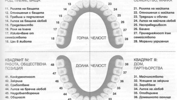 Зъбите са като бушони свързани с енергийните потоци в нашето тяло