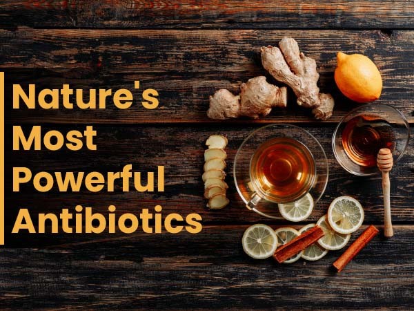 Powerful natural antibiotics known to mankind